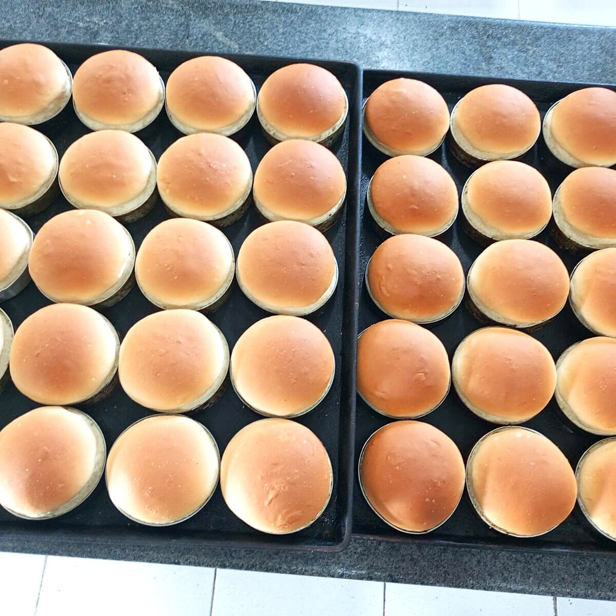 Pão de Hambúrguer