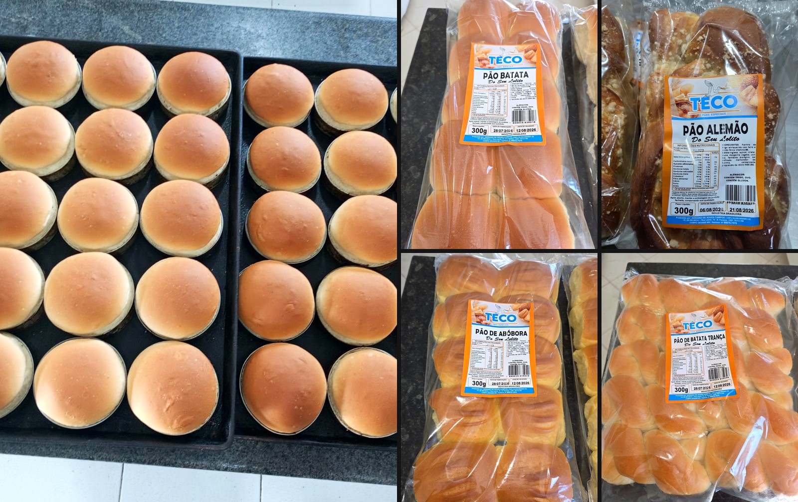 Montagem com pães de hambúrguer recém-assados e pacotes de pão de batata, alemão, abóbora e trança da TECO